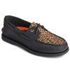 Cheetah Black-